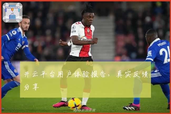 开云平台用户体验报告，真实反馈分享