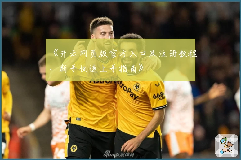 《开云网页版官方入口及注册教程，新手快速上手指南》